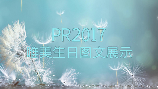 唯美清新生日图文展示pr模板[生快]视频