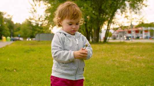 小女孩手握着一朵已消退的花朵视频