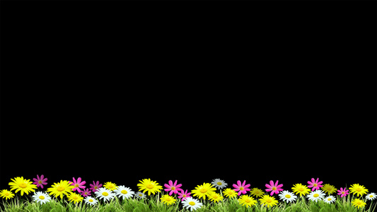 花丛花朵动画元素带透明通道70视频