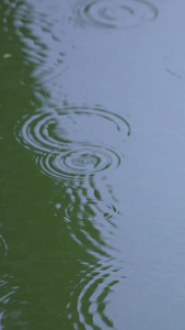 慢动作升格摄影下雨雨水雨滴雨季素材慢镜头视频