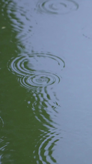 慢动作升格摄影下雨雨水雨滴雨季素材慢镜头67秒视频