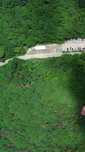 高清航拍森林中的大型停车场公共设施16秒视频