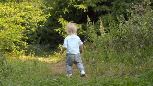 小男孩在森林中沿小路行走视频