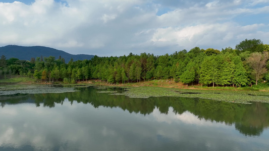 航拍钟山风景区燕雀湖风光视频