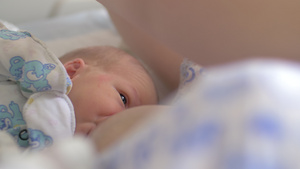 妇产医院中新生儿的母乳喂养16秒视频