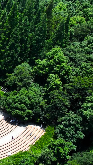 航拍南京5A级景区中山陵音悦台35秒视频