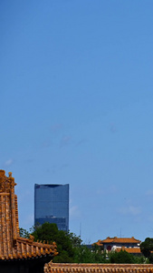 故宫与CBD的建筑延时摄影高楼大厦视频