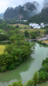 高清竖屏航拍崇左明仕田园风景视频