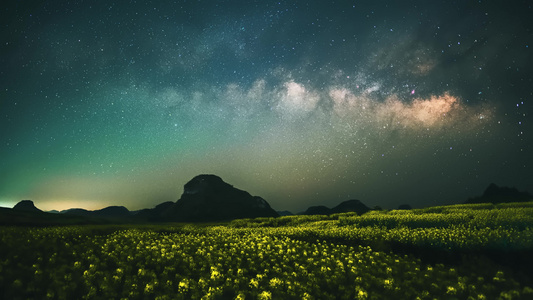 春季油菜花星空银河视频