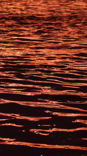 素材升格拍摄长江江景水面灯光反射波光粼粼环境空镜慢镜头52秒视频