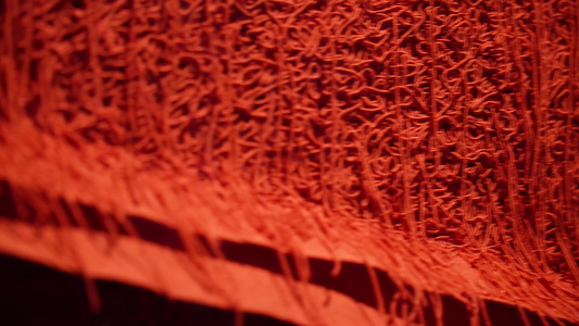 红色刺绣纤维视频