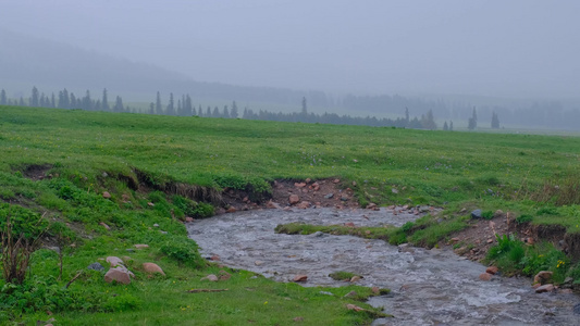 新疆那拉提草原雪山森林小溪绝美风光视频
