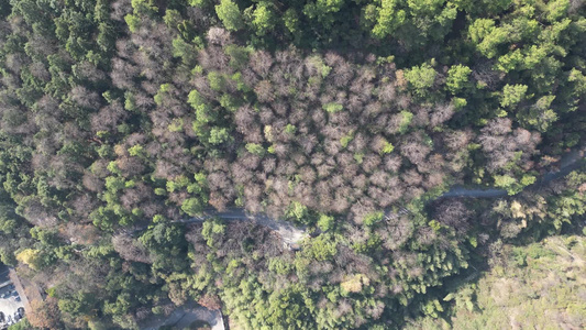 山川丘陵地貌绿色森林美丽乡村航拍视频