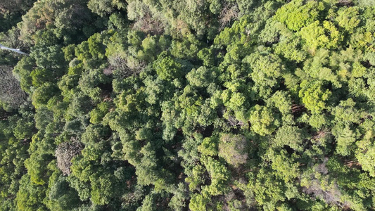 山川丘陵地貌绿色森林美丽乡村航拍视频