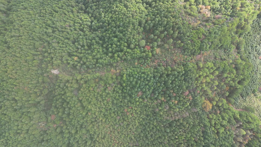 山川丘陵地貌绿色森林美丽乡村航拍视频