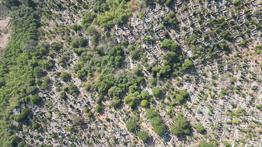 墓地陵园坟墓森林植物航拍视频