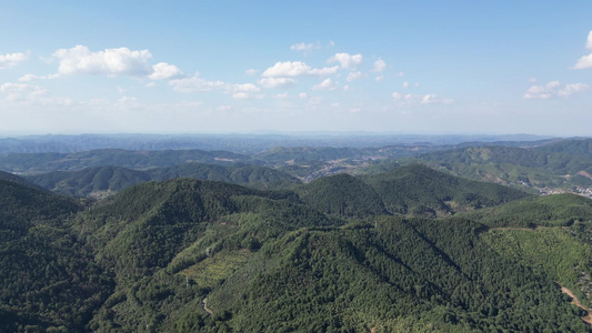 祖国壮丽山川森林植物航拍 视频