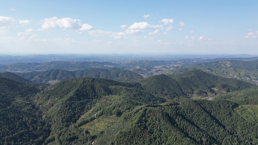 祖国壮丽山川森林植物航拍 视频