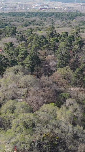 沈阳清福陵古建筑航拍视频沈阳城市风光32秒视频