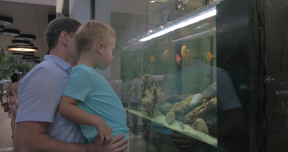 在商店窗户水族馆看鱼的婴儿和孩子视频