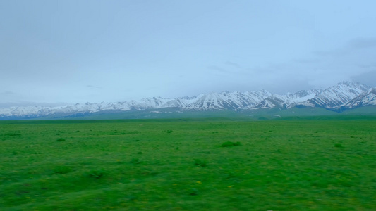 新疆那拉提一望无际的草原雪山绝美风光视频