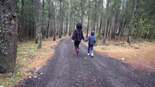 幸福家庭在森林中一起跑步和玩耍手牵手视频