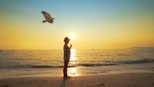 带着帽子在空旷海滩上放风筝的男孩的休眠钟在夏日日落视频