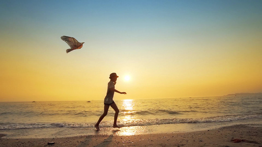 日落时男孩在海滩上放风筝拍到电影视频
