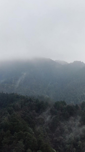 航拍雨后大山云雾移动延时8秒视频