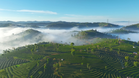 云雾缭绕的茶山视频