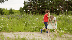 在夏季户外活动时孩子们在花草地上散步14秒视频