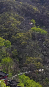 江苏5A景区花果山三元宫航拍视频风景名胜视频