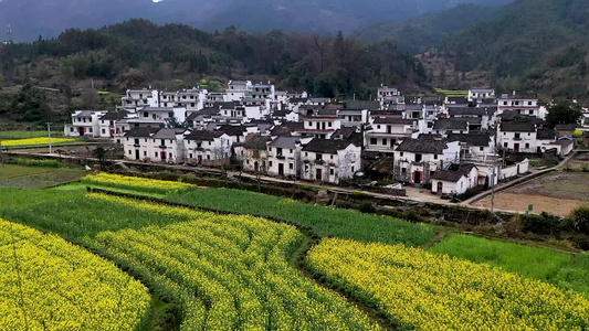 婺源原生态乡村油菜花古村落风光视频