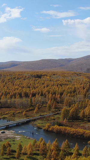 航拍内蒙旅游景区阿尔山秋季风光大兴安岭62秒视频