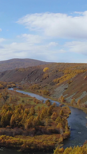 航拍内蒙旅游景区阿尔山秋季风光旅游景点62秒视频