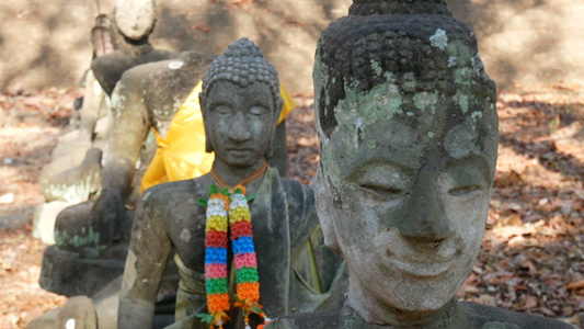 泰国崇拜佛像泰国历史清迈府佛像寺清迈历史公园泰国亚洲视频