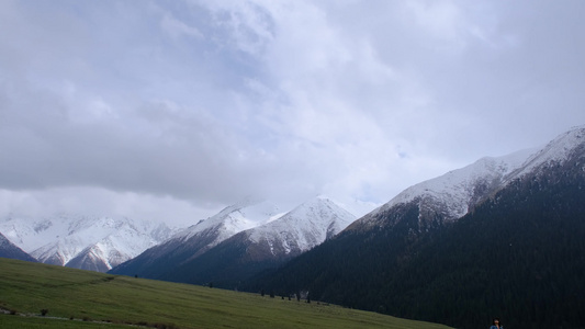 新疆夏塔森林公园的草原雪山森林绝美风光视频