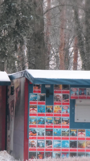 冬天大雪之后银光素裹的树木游乐园冬天室外游乐设施35秒视频