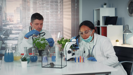 在化学研究实验室中混合种族的科学家在提供实验后目睹视频