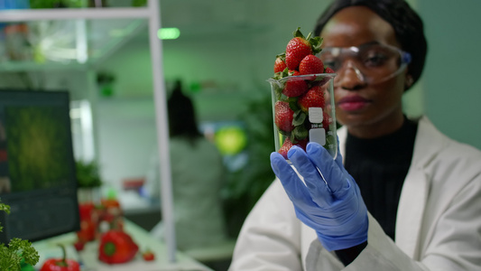 非洲研究人员持有格拉斯草莓和农药喷洒草莓的玻璃视频
