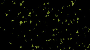 唯美4K枫树叶飘落无限循环带通道46秒视频