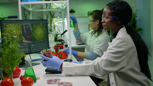 研究用农药喷草莓注射的药剂科学家包括视频