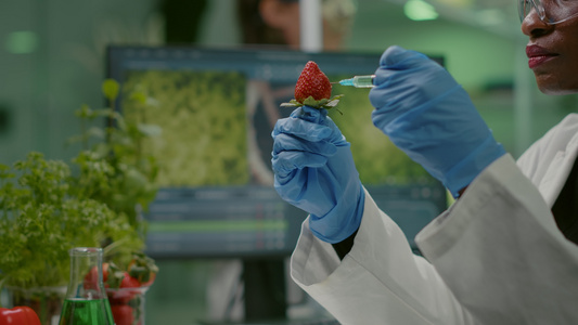 特写化学家科学家用化学农药注射天然草莓视频