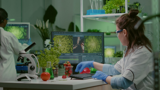 喷洒草莓和农药的科学家研究者视频