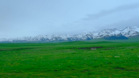 新疆那拉提一望无际的草原雪山绝美风光视频