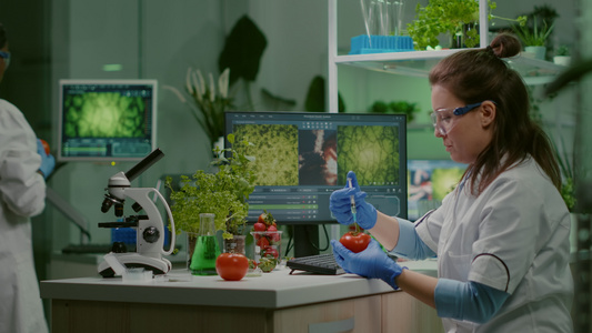 科学家化学学家用医疗针筒注射西红柿和杀虫剂视频