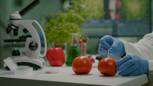 关闭化学科学家科学家用农药注射有机番茄的绝密18秒视频