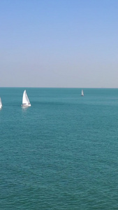 大海中航行的帆船航拍视频奥帆中心视频