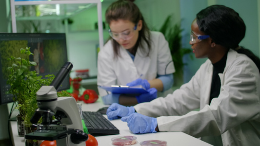 医疗队研究人员在计算机上分析植物学专业知识视频