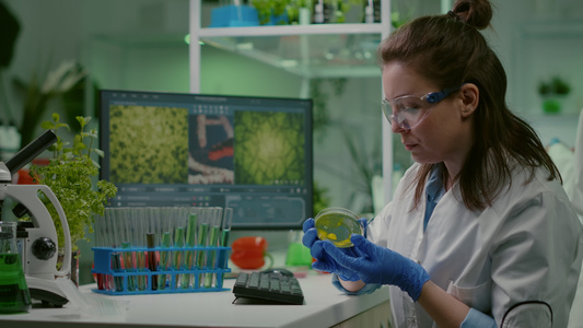 制药研究者分析用花生菜进行溶液测试视频